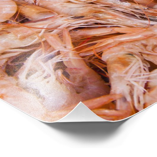 Garnelen Fotodruck (Ecke)
