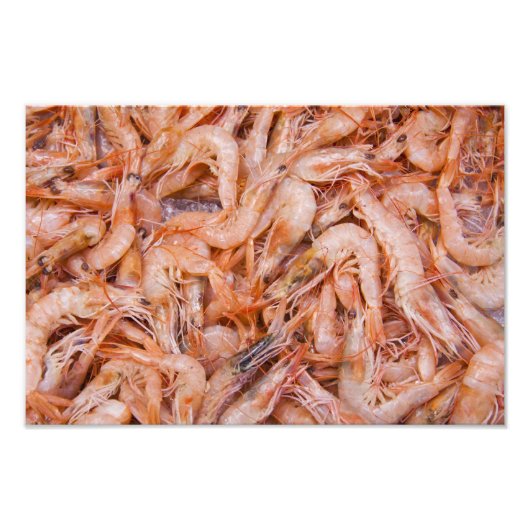 Garnelen Fotodruck (Vorne)