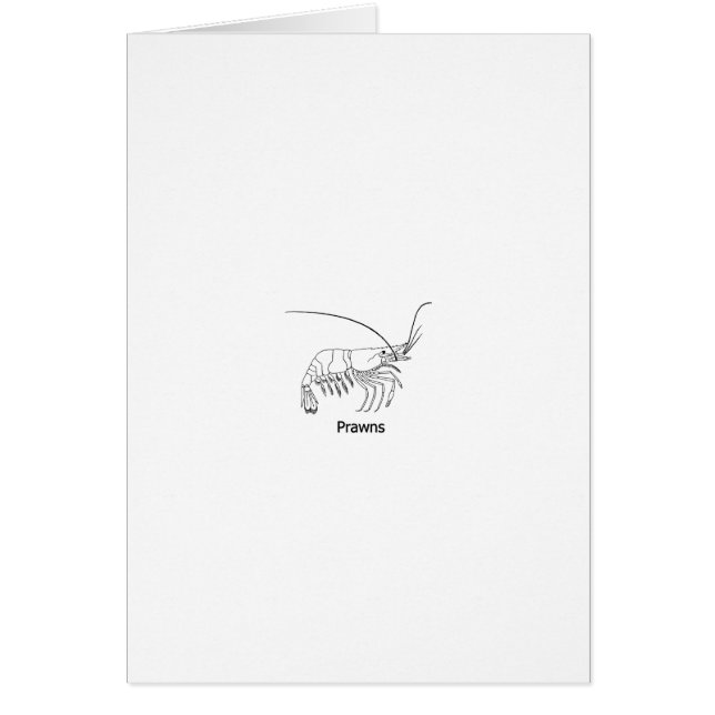 Garnelen-Logo (Vorne)