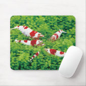 Garnelen Mousepad (Mit Mouse)