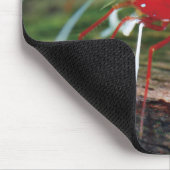 Garnelen Mousepad (Ecke)