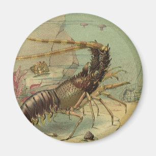 Garnelen, Unterwasser-Meeresleben, Vintage-Meeresl Magnet