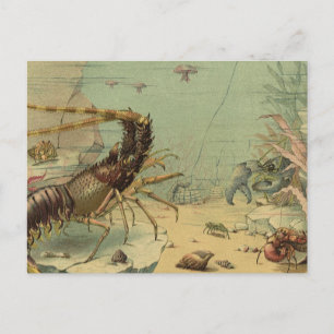 Garnelen, Unterwasser-Meeresleben, Vintage-Meeresl Postkarte