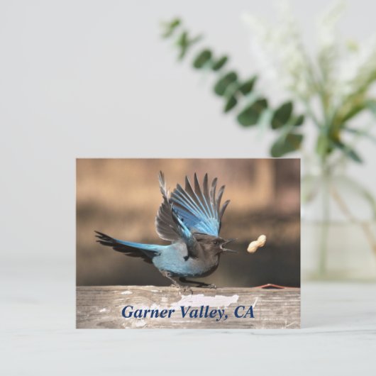 Garner Valley, CA Postcard Postkarte (Stehend Vorderseite)