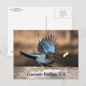 Garner Valley, CA Postcard Postkarte (Vorne/Hinten)