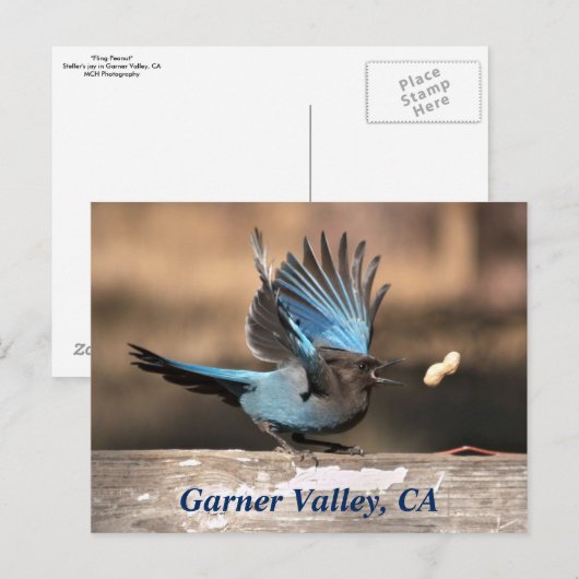 Garner Valley, CA Postcard Postkarte (Vorne/Hinten)