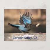 Garner Valley, CA Postcard Postkarte (Vorderseite)