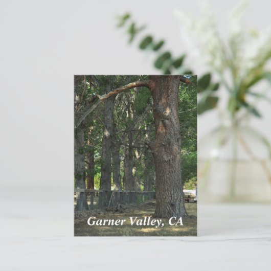 Garner Valley, CA Postcard Postkarte (Stehend Vorderseite)