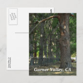 Garner Valley, CA Postcard Postkarte (Vorne/Hinten)