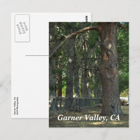 Garner Valley, CA Postcard Postkarte (Vorne/Hinten)