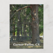 Garner Valley, CA Postcard Postkarte (Vorderseite)