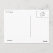 Garner Valley, CA Postkarte (Rückseite)