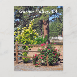 Garner Valley, CA Postkarte