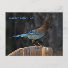 Garner Valley, CA Postkarte