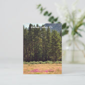 Garner Valley, CA Postkarte (Stehend Vorderseite)