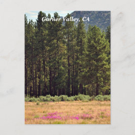 Garner Valley, CA Postkarte
