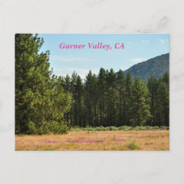 Garner Valley, CA Postkarte