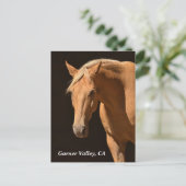 Garner Valley Postcard Postkarte (Stehend Vorderseite)