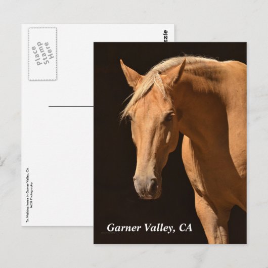 Garner Valley Postcard Postkarte (Vorne/Hinten)