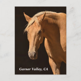 Garner Valley Postcard Postkarte