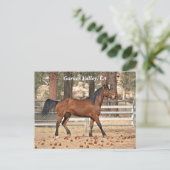 Garner Valley Postcard Postkarte (Stehend Vorderseite)