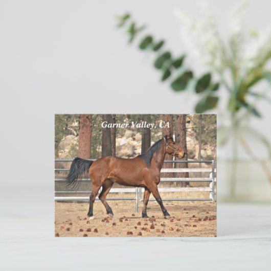 Garner Valley Postcard Postkarte (Stehend Vorderseite)