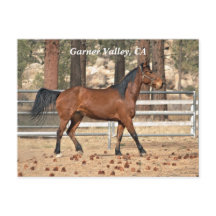 Garner Valley Postcard