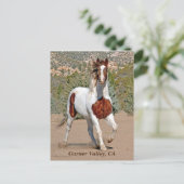 Garner Valley Postcard Postkarte (Stehend Vorderseite)