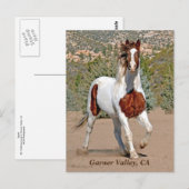 Garner Valley Postcard Postkarte (Vorne/Hinten)