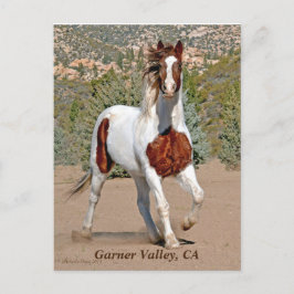 Garner Valley Postcard Postkarte