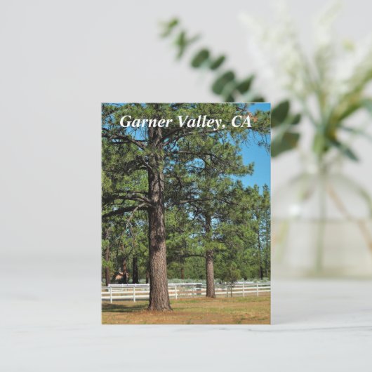 Garner Valley Postcard Postkarte (Stehend Vorderseite)