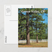 Garner Valley Postcard Postkarte (Vorne/Hinten)