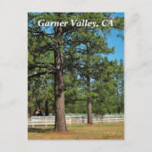 Garner Valley Postcard Postkarte (Vorderseite)