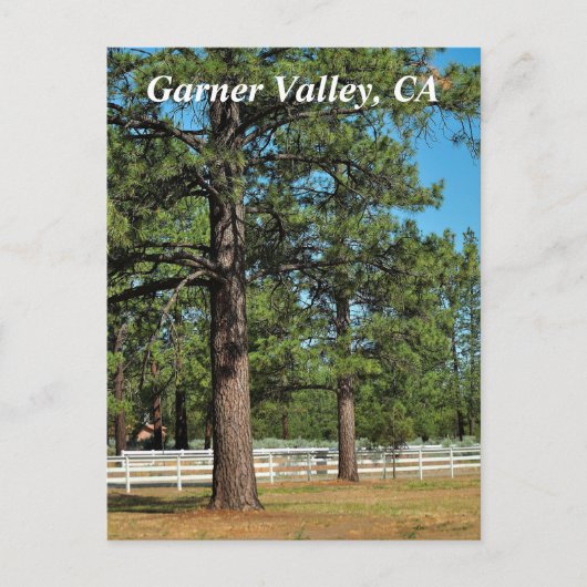 Garner Valley Postcard Postkarte (Vorderseite)