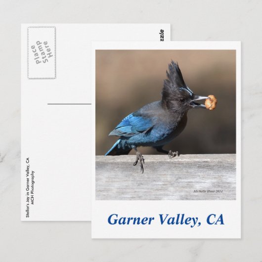 Garner Valley Postcard Postkarte (Vorne/Hinten)