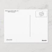 Garner Valley Postcard Postkarte (Rückseite)