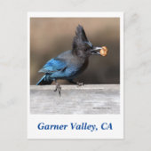 Garner Valley Postcard Postkarte (Vorderseite)