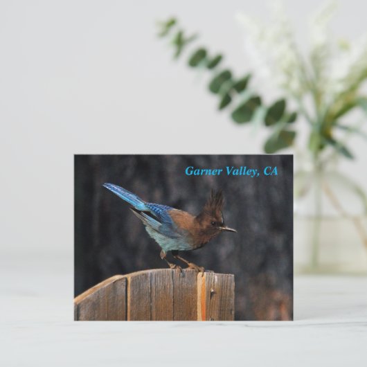 Garner Valley Postcard Postkarte (Stehend Vorderseite)