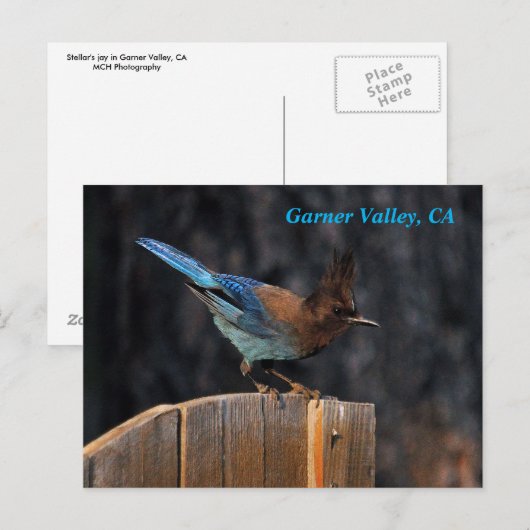 Garner Valley Postcard Postkarte (Vorne/Hinten)