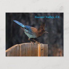 Garner Valley Postcard Postkarte
