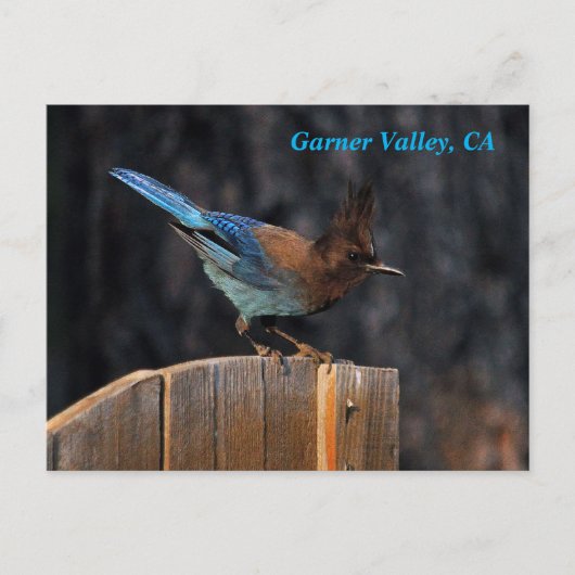 Garner Valley Postcard Postkarte (Vorderseite)