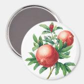 Garnets Magnet (Vorderseite/Rückseite)