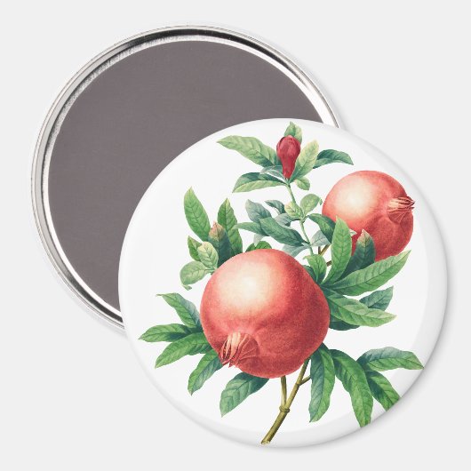 Garnets Magnet (Vorderseite/Rückseite)