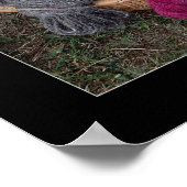 Garnkörbe Poster (Ecke)