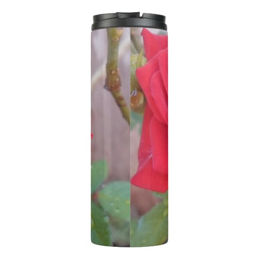 Garrafa Térmica Portátil Thermosbecher (Rückseite)