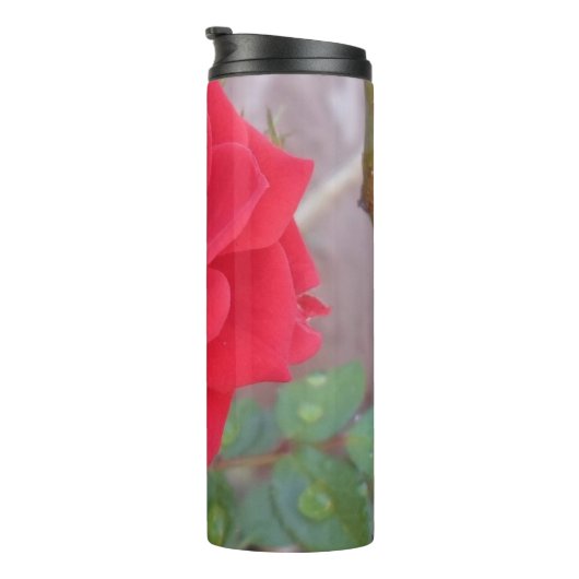 Garrafa Térmica Portátil Thermosbecher (Nach rechts gedreht)