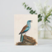 Garrulous Roller | William Lewin Postkarte (Stehend Vorderseite)