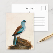 Garrulous Roller | William Lewin Postkarte
