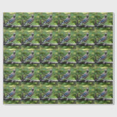 Garrulus glandarius - Eichelhäher Geschenkpapier (Flach)