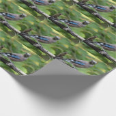 Garrulus glandarius - Eichelhäher Geschenkpapier (Ecke)
